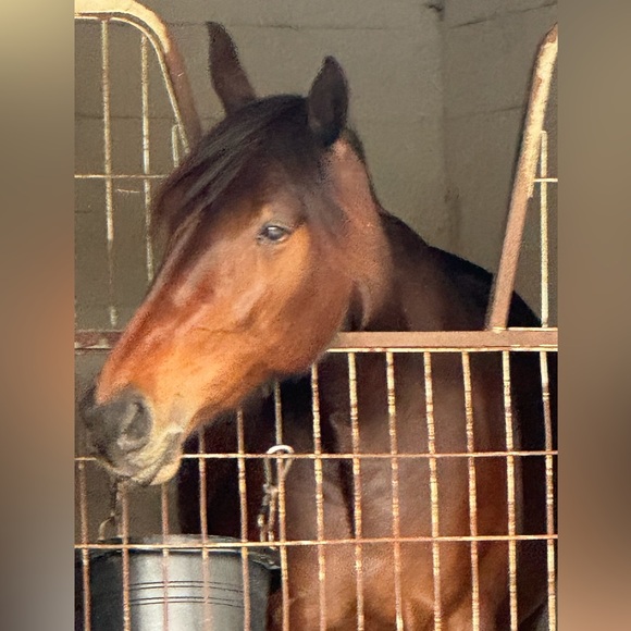 Meet your Posher, Corrine - Picture 2 of 3